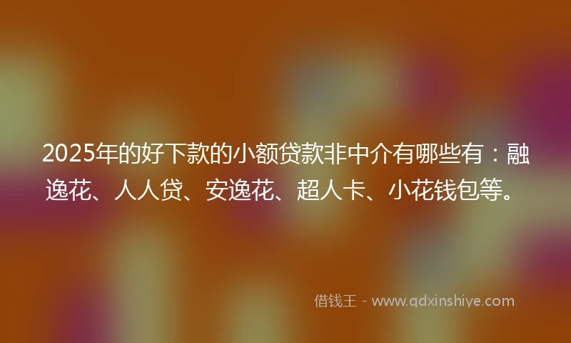 2025年的好下款的小额贷款非中介有哪些有：融逸花、人人贷、安逸花、超人卡、小花钱包等。