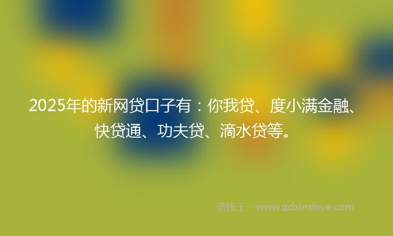 2025年的新网贷口子有：你我贷、度小满金融、快贷通、功夫贷、滴水贷等。