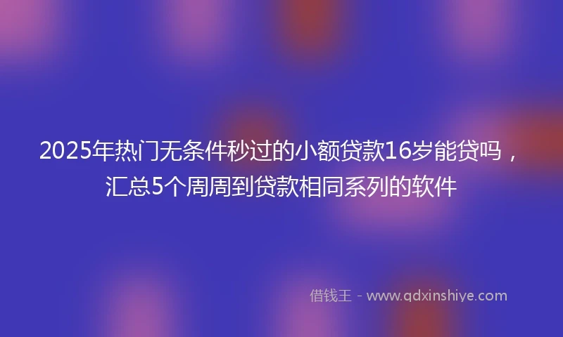 2025年热门无条件秒过的小额贷款16岁能贷吗，汇总5个周周到贷款相同系列的软件