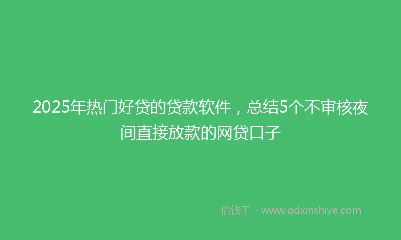 2025年热门好贷的贷款软件，总结5个不审核夜间直接放款的网贷口子