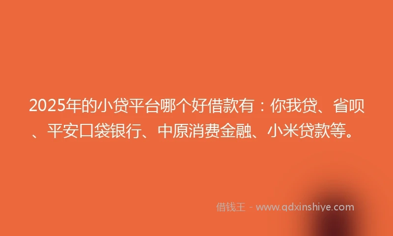 2025年的小贷平台哪个好借款有：你我贷、省呗、平安口袋银行、中原消费金融、小米贷款等。
