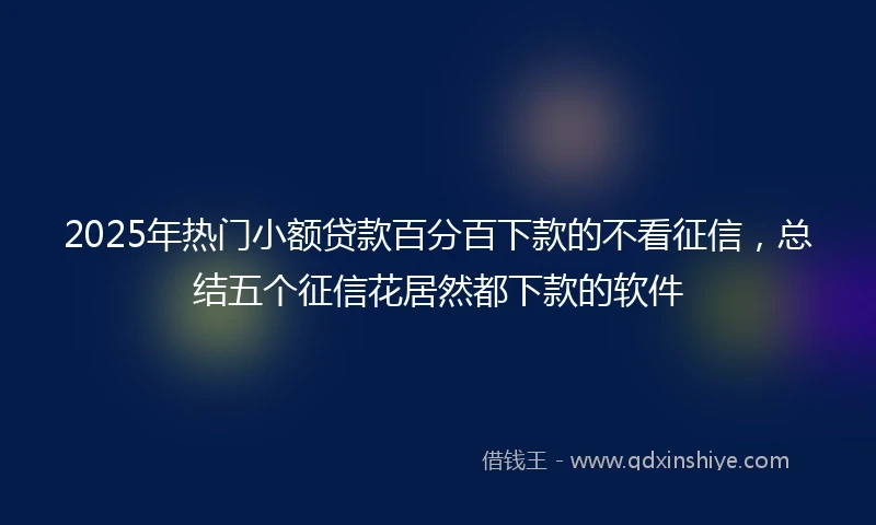 2025年热门小额贷款百分百下款的不看征信，总结五个征信花居然都下款的软件