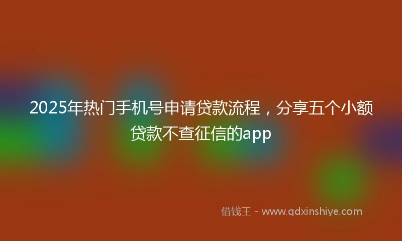 2025年热门手机号申请贷款流程，分享五个小额贷款不查征信的app