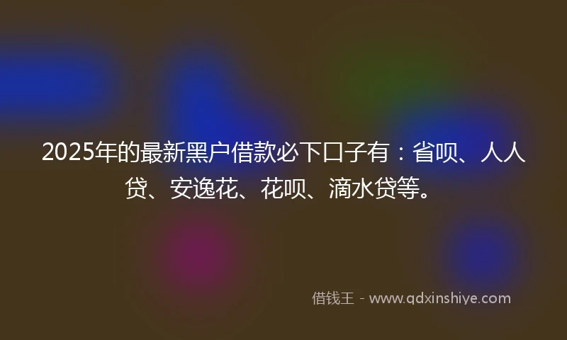 2025年的最新黑户借款必下口子有：省呗、人人贷、安逸花、花呗、滴水贷等。