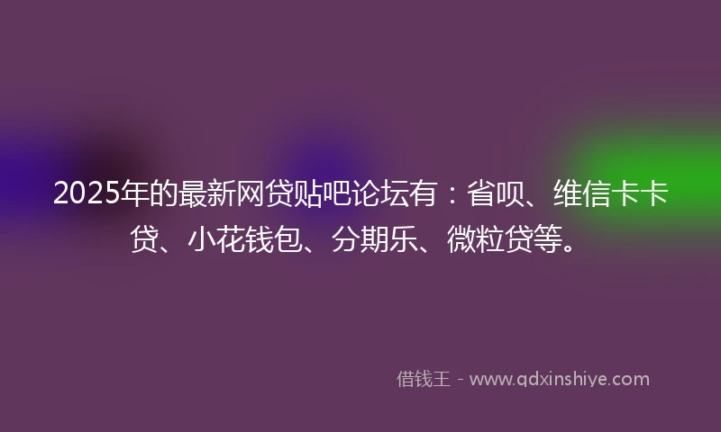 2025年的最新网贷贴吧论坛有：省呗、维信卡卡贷、小花钱包、分期乐、微粒贷等。