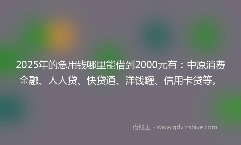 2025年的急用钱哪里能借到2000元有：中原消费金融、人人贷、快贷通、洋钱罐、信用卡贷等。