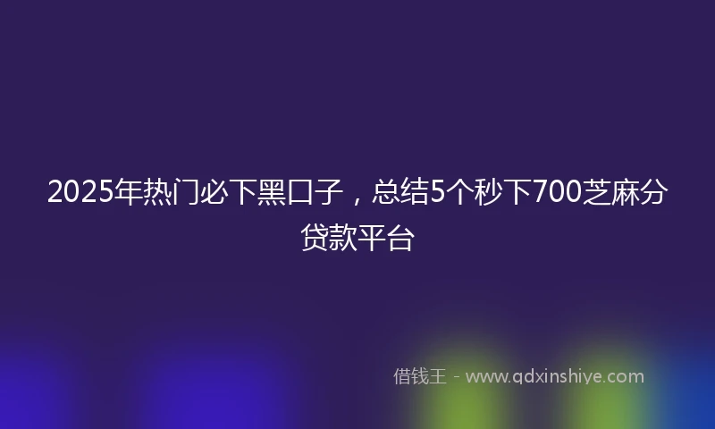 2025年热门必下黑口子，总结5个秒下700芝麻分贷款平台