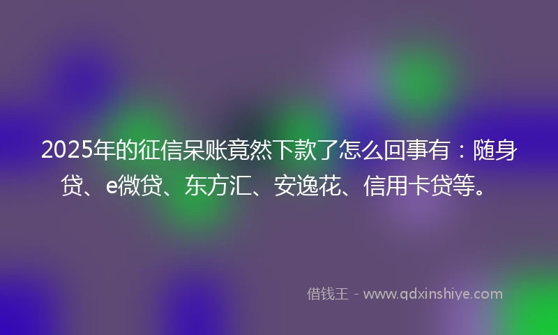 2025年的征信呆账竟然下款了怎么回事有：随身贷、e微贷、东方汇、安逸花、信用卡贷等。