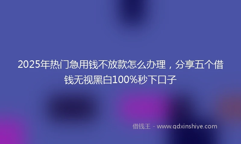 2025年热门急用钱不放款怎么办理，分享五个借钱无视黑白100%秒下口子