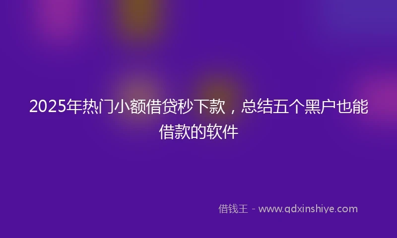 2025年热门小额借贷秒下款，总结五个黑户也能借款的软件