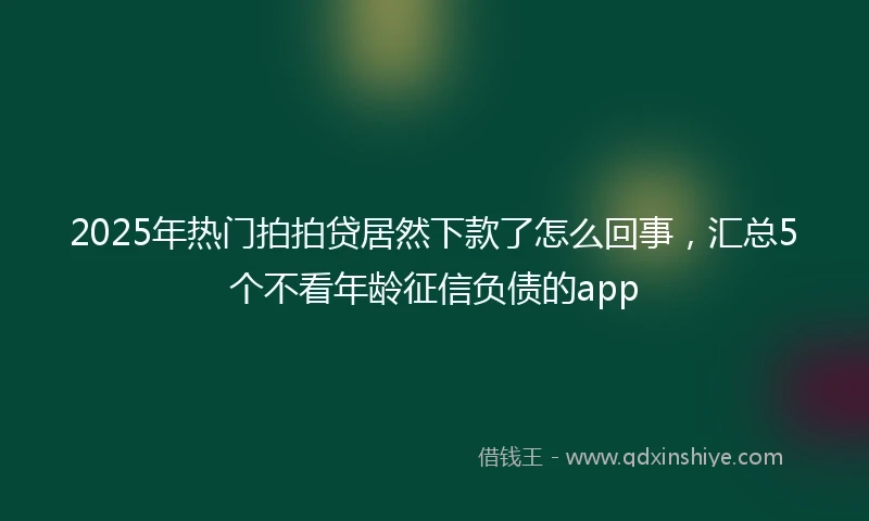 2025年热门拍拍贷居然下款了怎么回事，汇总5个不看年龄征信负债的app