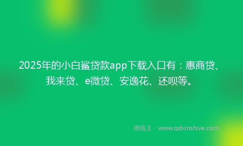 2025年的小白鲨贷款app下载入口有：惠商贷、我来贷、e微贷、安逸花、还呗等。