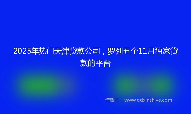 2025年热门天津贷款公司，罗列五个11月独家贷款的平台