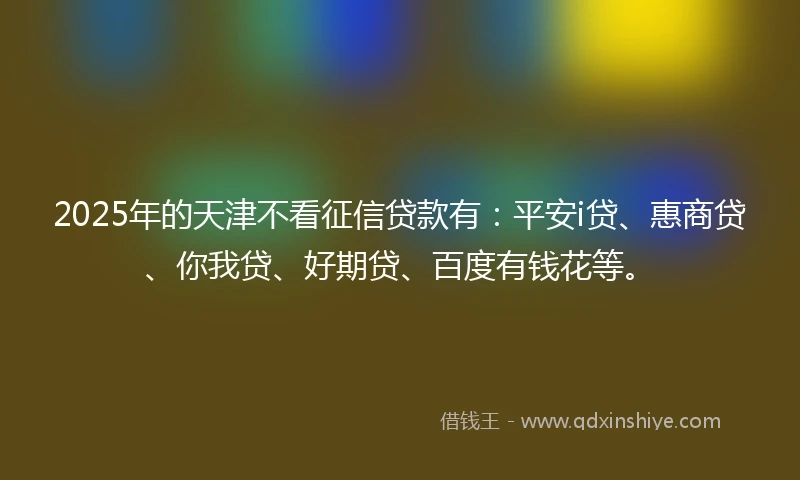 2025年的天津不看征信贷款有：平安i贷、惠商贷、你我贷、好期贷、百度有钱花等。