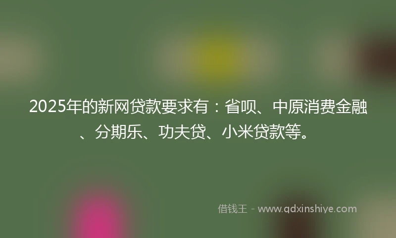 2025年的新网贷款要求有：省呗、中原消费金融、分期乐、功夫贷、小米贷款等。