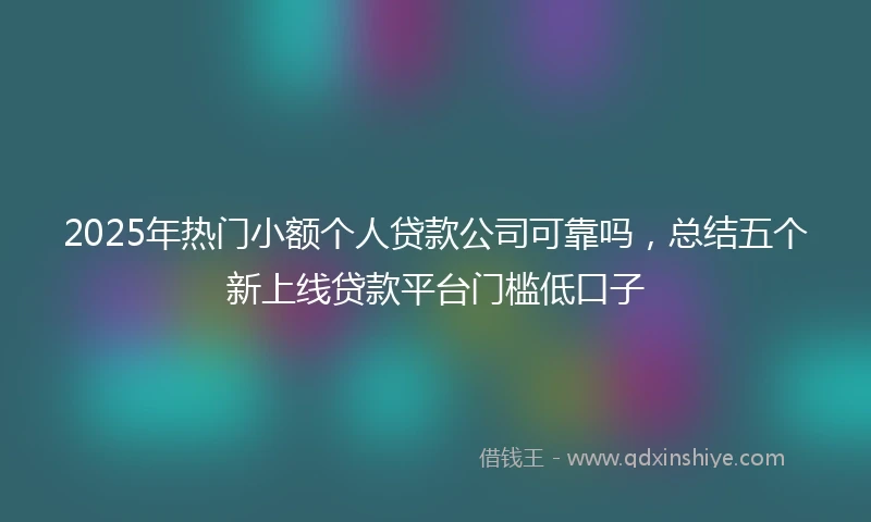 2025年热门小额个人贷款公司可靠吗，总结五个新上线贷款平台门槛低口子