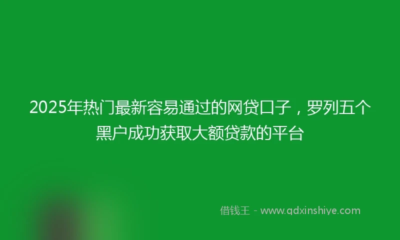 2025年热门最新容易通过的网贷口子，罗列五个黑户成功获取大额贷款的平台