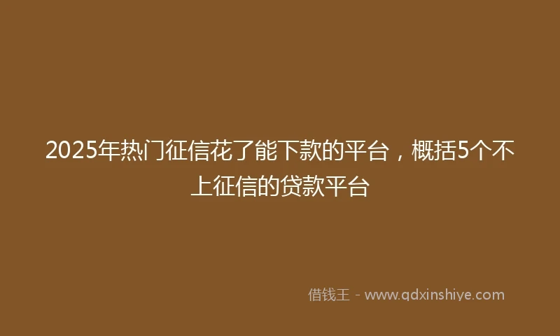 2025年热门征信花了能下款的平台，概括5个不上征信的贷款平台