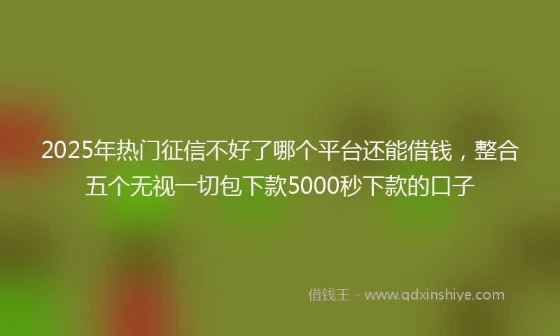 2025年热门征信不好了哪个平台还能借钱，整合五个无视一切包下款5000秒下款的口子