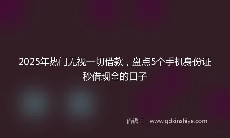 2025年热门无视一切借款，盘点5个手机身份证秒借现金的口子