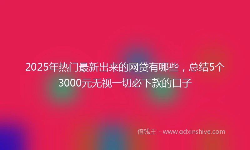 2025年热门最新出来的网贷有哪些，总结5个3000元无视一切必下款的口子