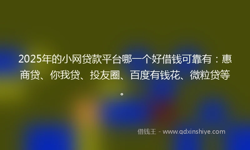2025年的小网贷款平台哪一个好借钱可靠有：惠商贷、你我贷、投友圈、百度有钱花、微粒贷等。