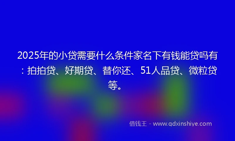 2025年的小贷需要什么条件家名下有钱能贷吗有：拍拍贷、好期贷、替你还、51人品贷、微粒贷等。