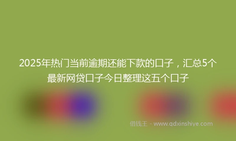 2025年热门当前逾期还能下款的口子，汇总5个最新网贷口子今日整理这五个口子