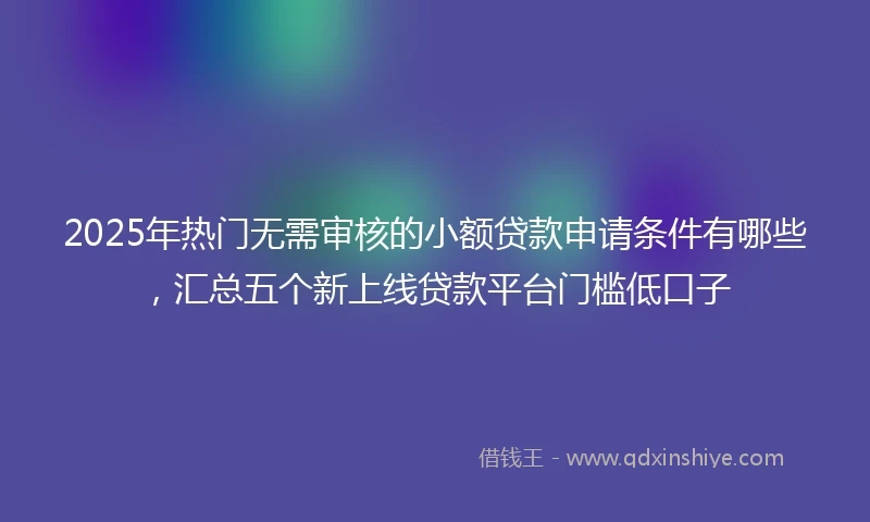 2025年热门无需审核的小额贷款申请条件有哪些，汇总五个新上线贷款平台门槛低口子