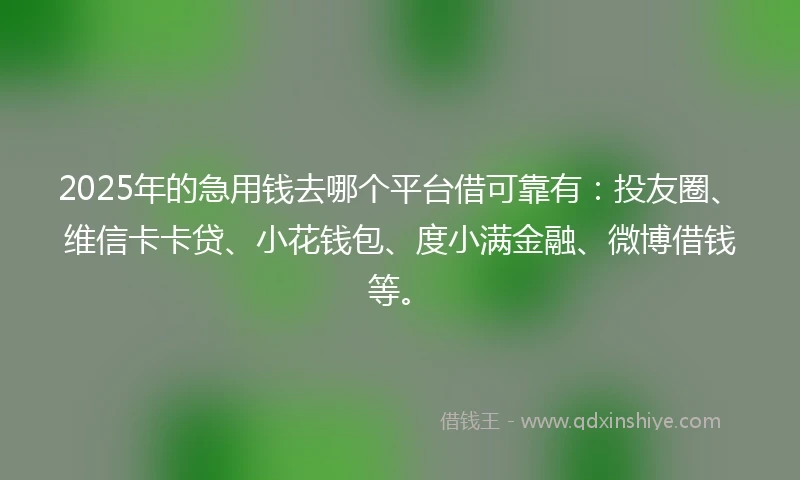 2025年的急用钱去哪个平台借可靠有：投友圈、维信卡卡贷、小花钱包、度小满金融、微博借钱等。