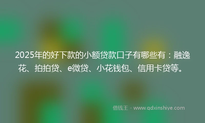 2025年的好下款的小额贷款口子有哪些有：融逸花、拍拍贷、e微贷、小花钱包、信用卡贷等。