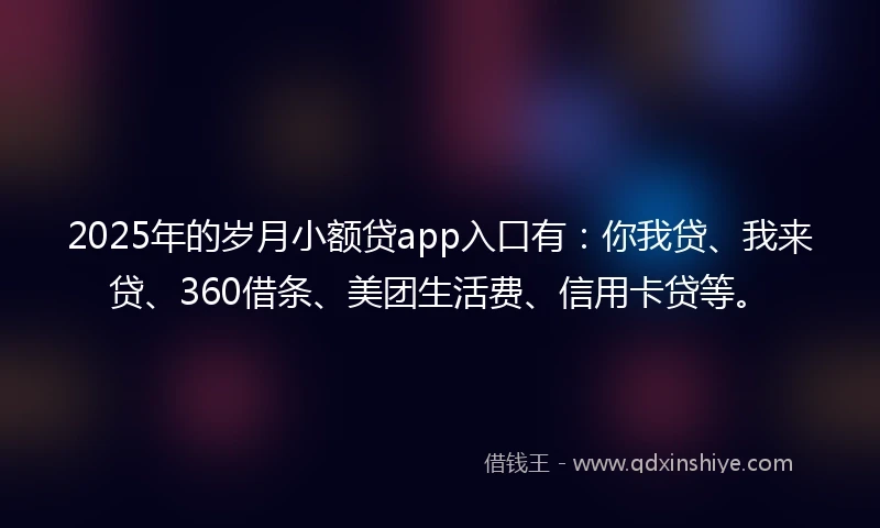 2025年的岁月小额贷app入口有：你我贷、我来贷、360借条、美团生活费、信用卡贷等。
