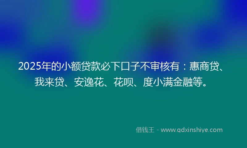 2025年的小额贷款必下口子不审核有：惠商贷、我来贷、安逸花、花呗、度小满金融等。