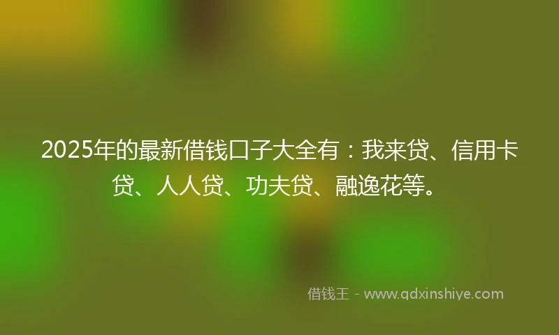 2025年的最新借钱口子大全有：我来贷、信用卡贷、人人贷、功夫贷、融逸花等。