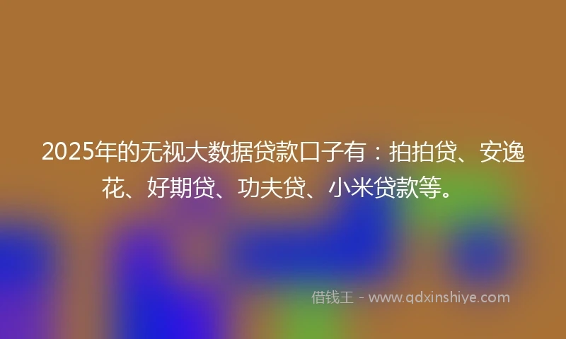 2025年的无视大数据贷款口子有：拍拍贷、安逸花、好期贷、功夫贷、小米贷款等。
