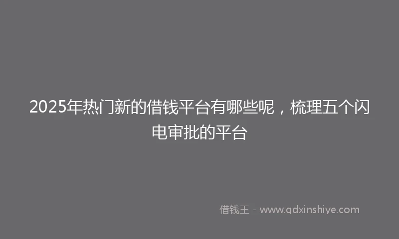 2025年热门新的借钱平台有哪些呢，梳理五个闪电审批的平台