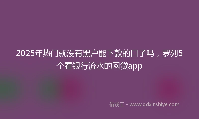 2025年热门就没有黑户能下款的口子吗，罗列5个看银行流水的网贷app
