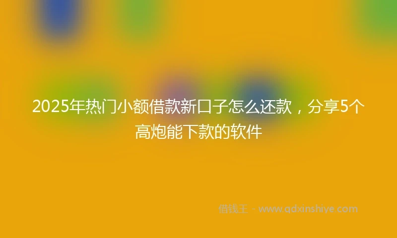 2025年热门小额借款新口子怎么还款，分享5个高炮能下款的软件