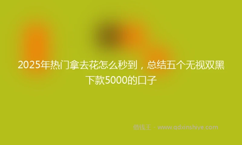 2025年热门拿去花怎么秒到，总结五个无视双黑下款5000的口子
