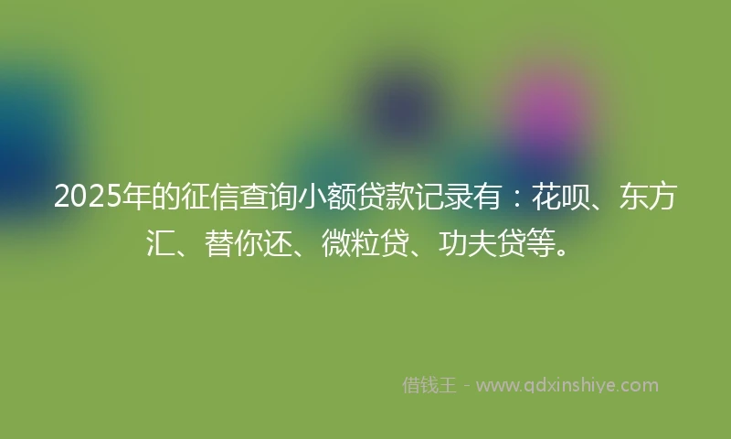 2025年的征信查询小额贷款记录有：花呗、东方汇、替你还、微粒贷、功夫贷等。