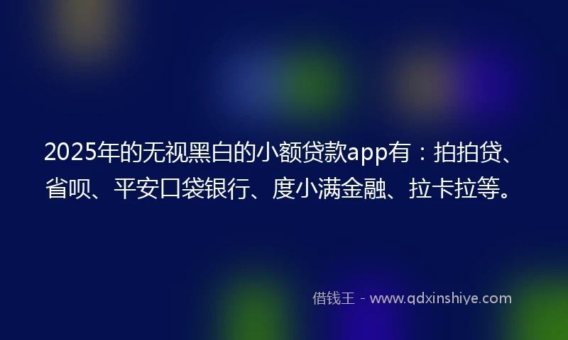 2025年的无视黑白的小额贷款app有：拍拍贷、省呗、平安口袋银行、度小满金融、拉卡拉等。