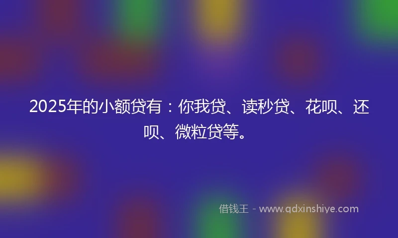 2025年的小额贷有：你我贷、读秒贷、花呗、还呗、微粒贷等。