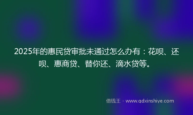 2025年的惠民贷审批未通过怎么办有：花呗、还呗、惠商贷、替你还、滴水贷等。