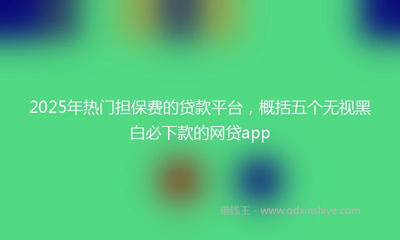 2025年热门担保费的贷款平台，概括五个无视黑白必下款的网贷app