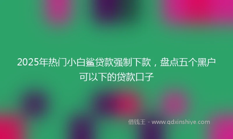 2025年热门小白鲨贷款强制下款，盘点五个黑户可以下的贷款口子