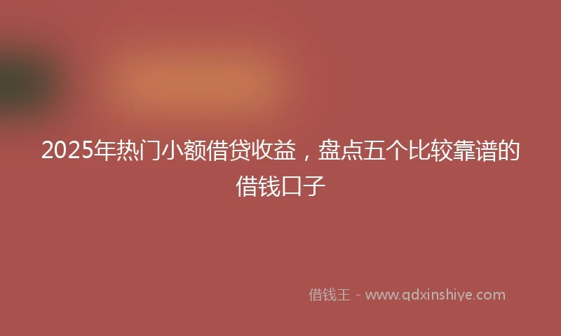 2025年热门小额借贷收益,盘点五个比较靠谱的借钱口子
