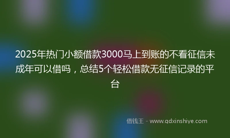 2025年热门小额借款3000马上到账的不看征信未成年可以借吗，总结5个轻松借款无征信记录的平台