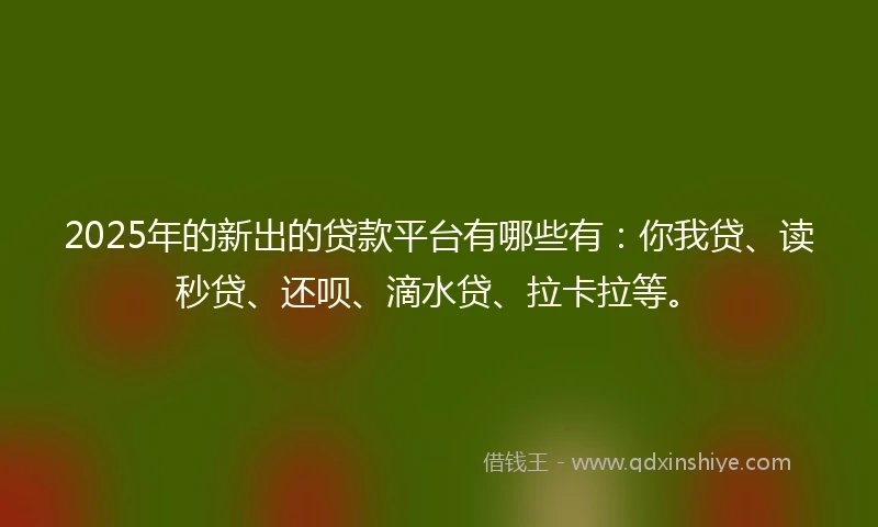 2025年的新出的贷款平台有哪些有：你我贷、读秒贷、还呗、滴水贷、拉卡拉等。