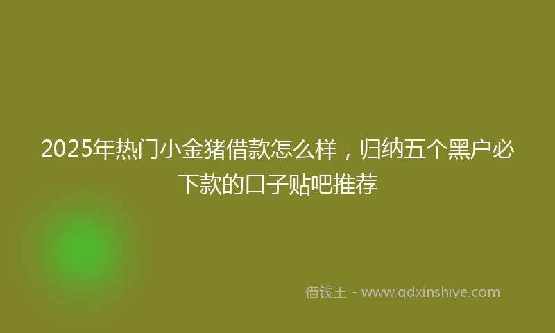 2025年热门小金猪借款怎么样，归纳五个黑户必下款的口子贴吧推荐
