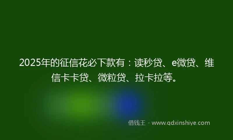 2025年的征信花必下款有：读秒贷、e微贷、维信卡卡贷、微粒贷、拉卡拉等。